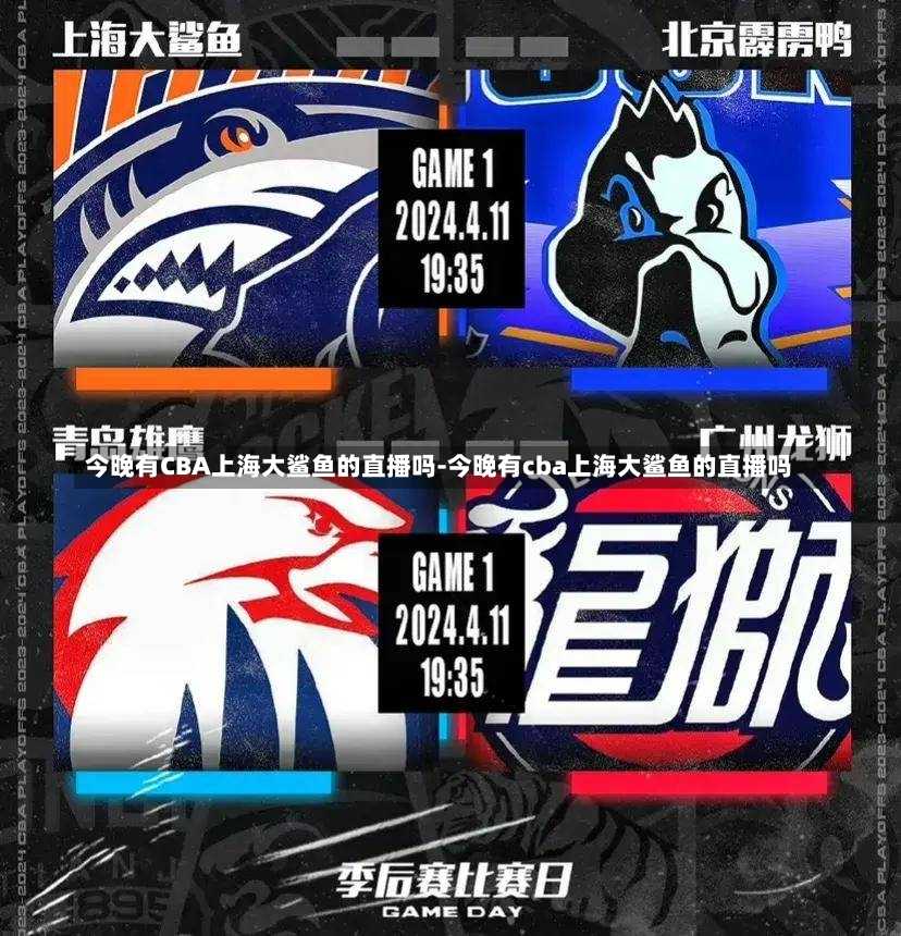 比赛期间