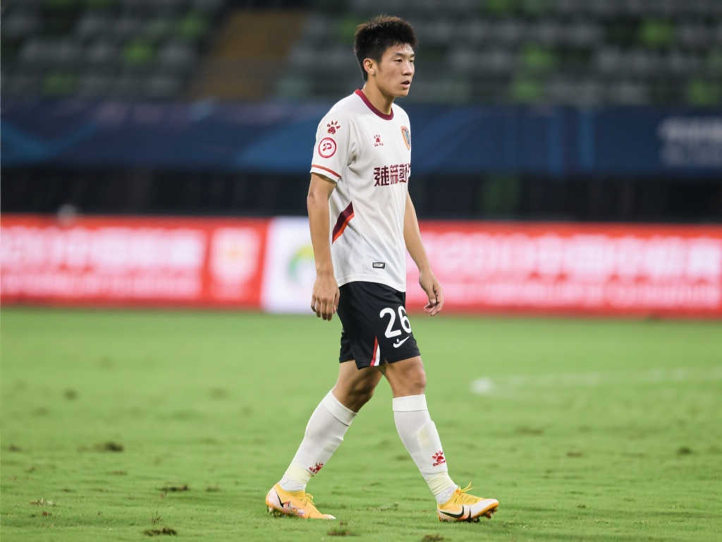 僅突顯了馬 僅突顯了馬