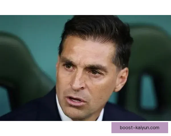 北京国安历史冠军数据回顾，表现稳健的荣誉之路分析